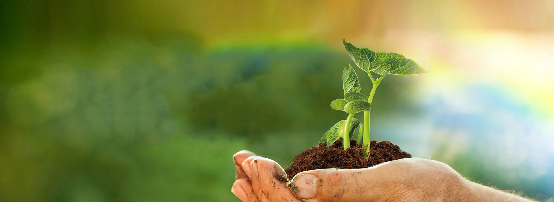 ÑÇÐǹÜÀíÆ½Ì¨|¹Ù·½