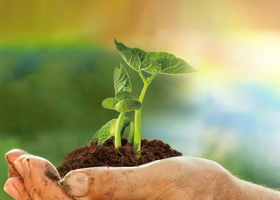 ÑÇÐǹÜÀíÆ½Ì¨|¹Ù·½