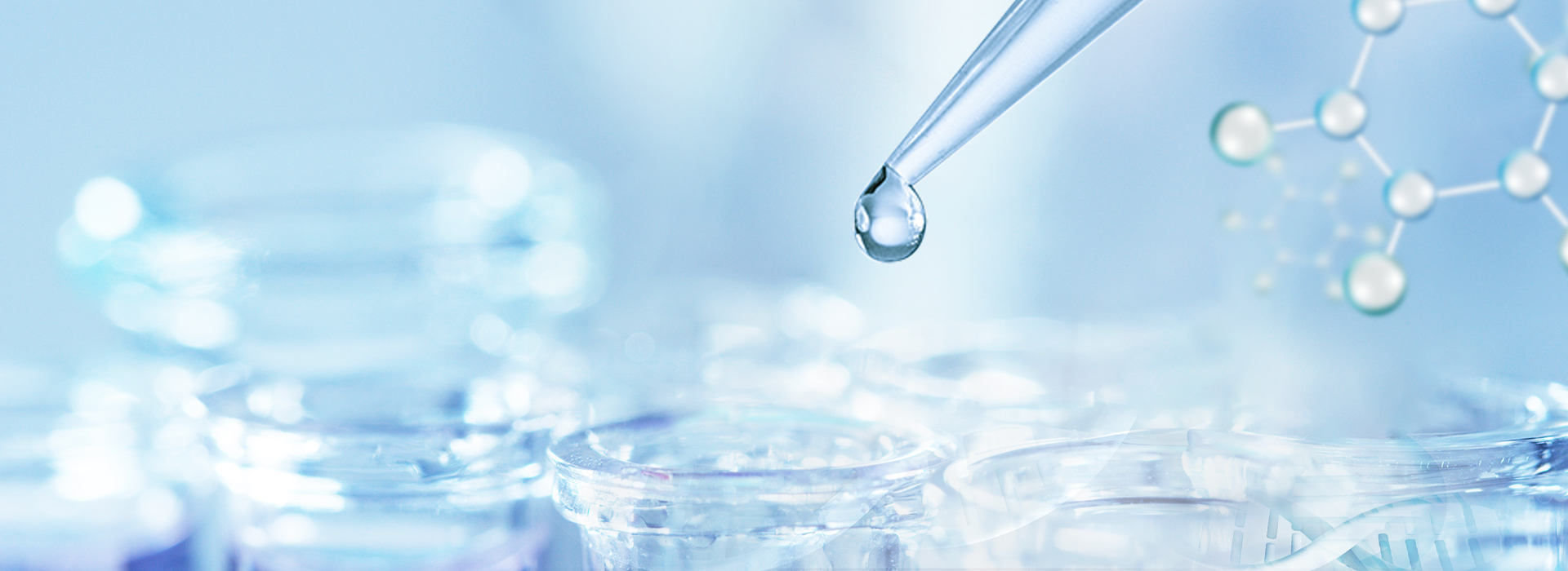 ÑÇÐǹÜÀíÆ½Ì¨|¹Ù·½